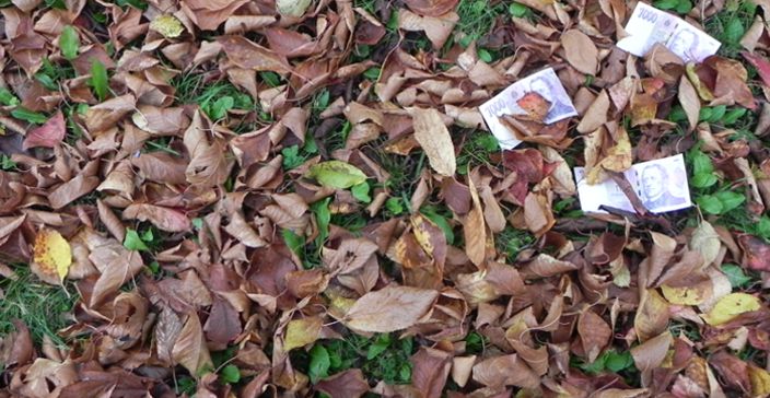 Podzimní šustění cen